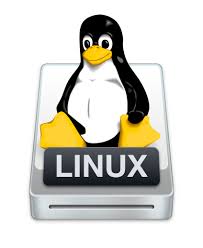 Linuxde Silinen Dosyaları Geri Getirme