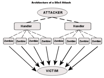 Ddos ve Flood Saldırılarında Hedef Alınan Zayıf Noktalar