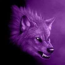 silver_wolf