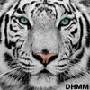 dhmm's avatar