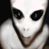 saku's avatar