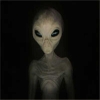 DeepHouse's avatar
